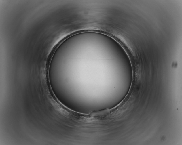 X0000098101460200804041232