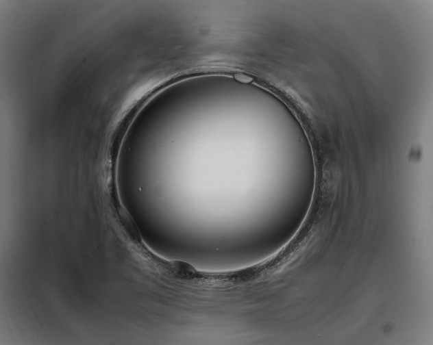 X0000098101461200804041232