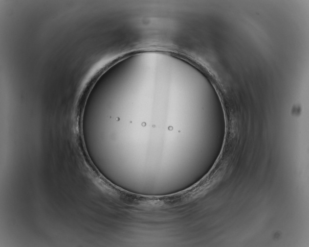 X0000098101462200804041232