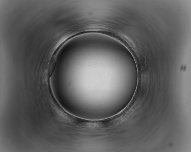 X0000098101465200804041232