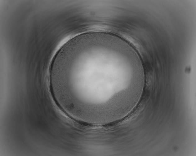 X0000098101467200804041232