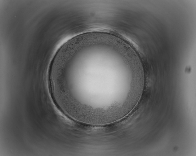 X0000098101471200804041232