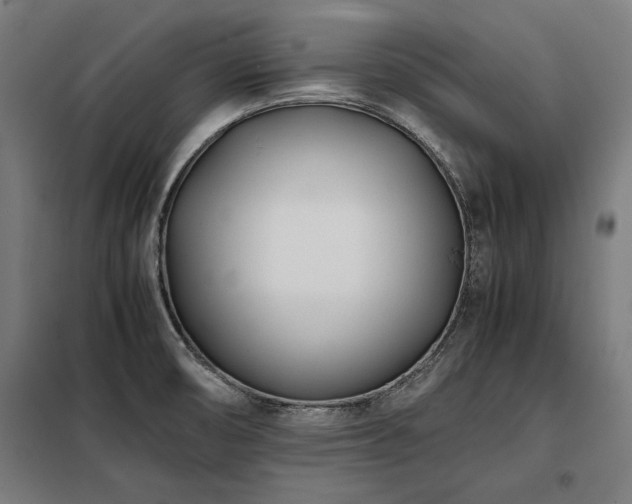 X0000098101474200804041232