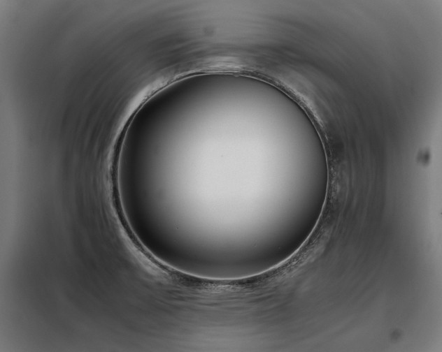 X0000098101475200804041232
