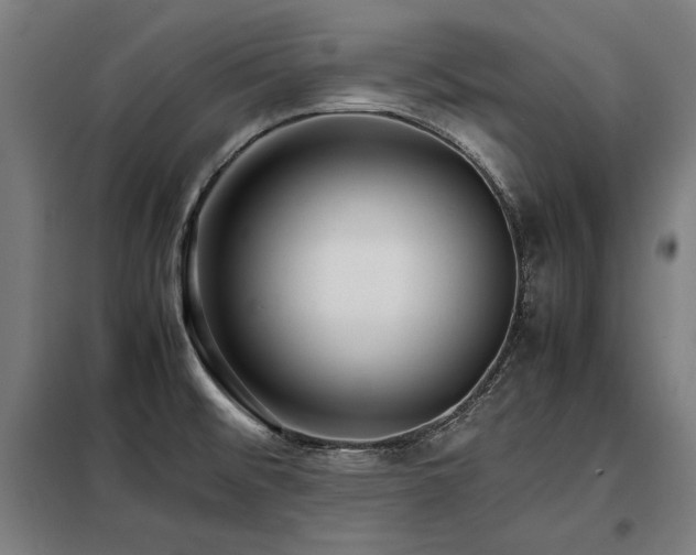 X0000098101476200804041232