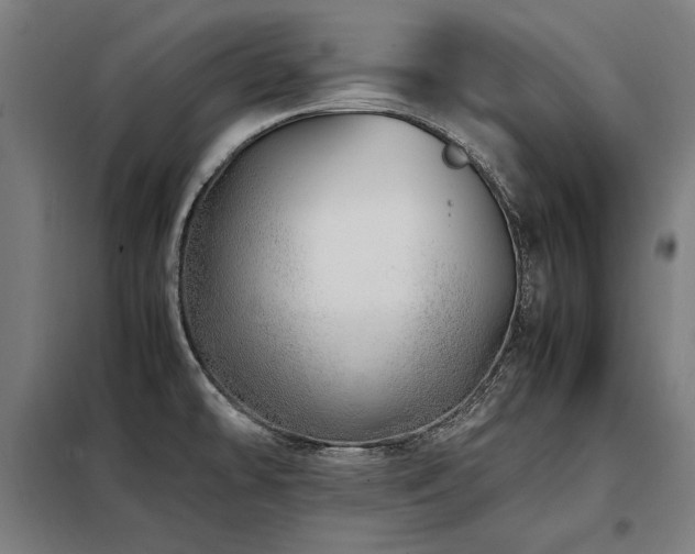 X0000098101478200804041232