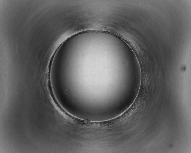 X0000098101479200804041232