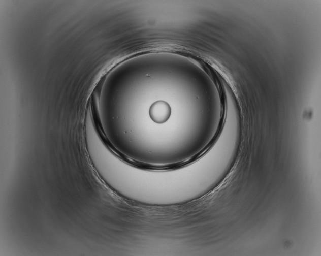 X0000098101481200804041232