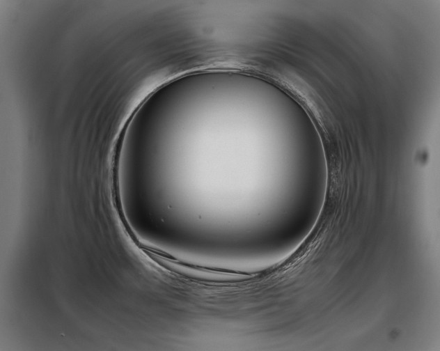 X0000098101483200804041232