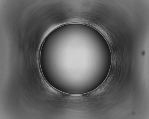 X0000098101486200804041232