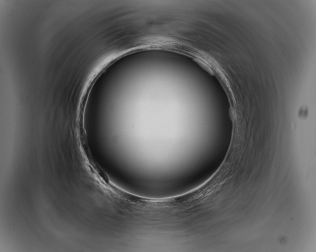 X0000098101488200804041232