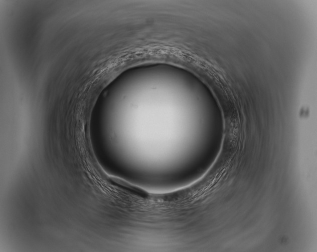X0000098101489200804041231