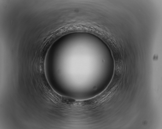 X0000098101490200804041231