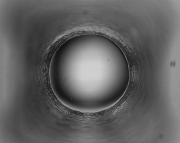 X0000098101494200804041231