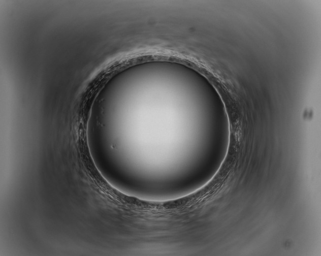 X0000098101495200804041231
