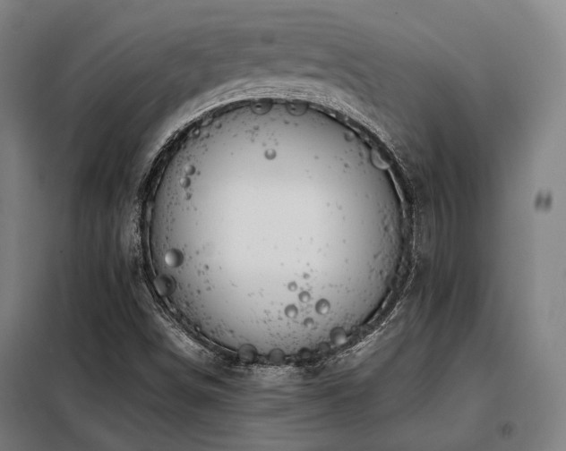 X0000098101498200804041231