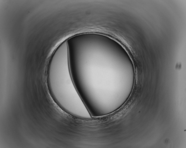 X0000098101500200804041231