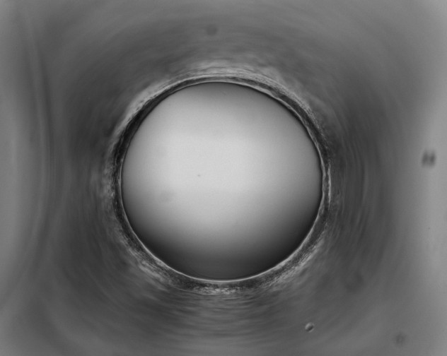 X0000098101501200804041231