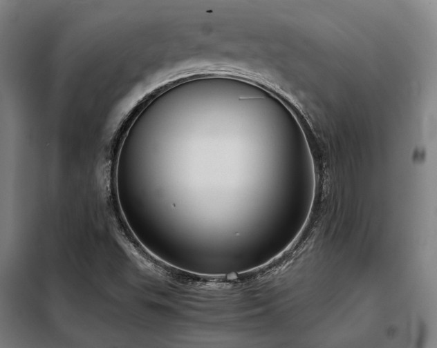 X0000098101503200804041231