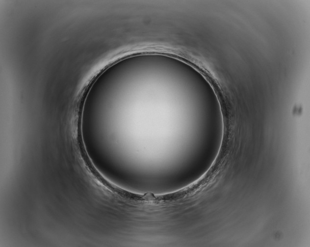 X0000098101504200804041231