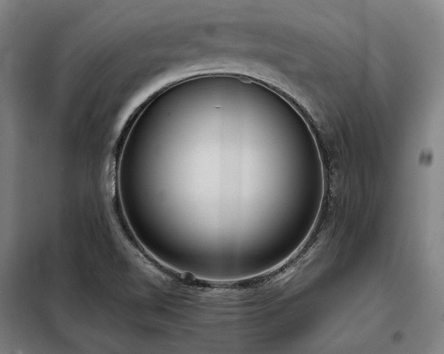 X0000098101510200804041231