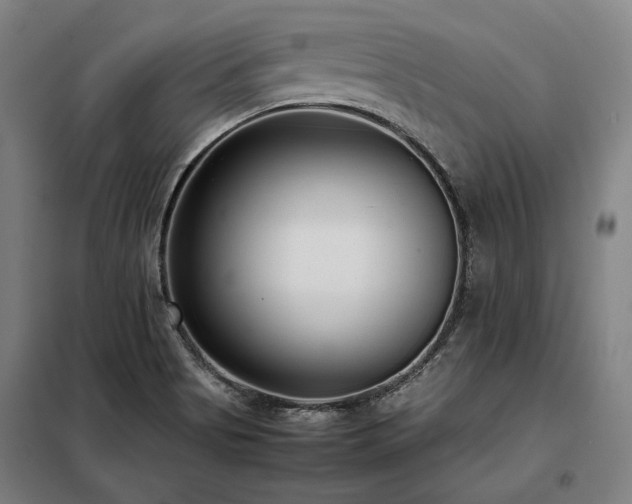 X0000098101513200804041231