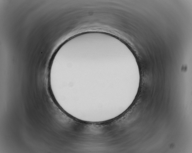 X0000098101514200804041231