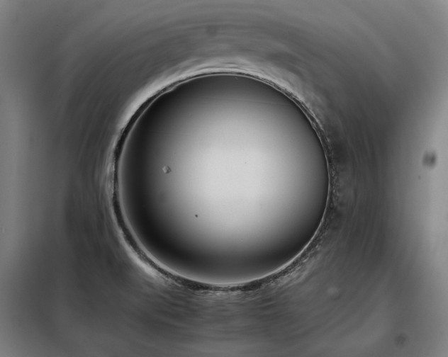 X0000098101519200804041231