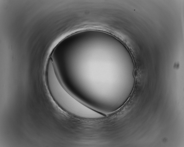 X0000098101520200804041231