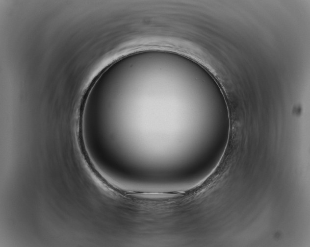 X0000098101523200804041232
