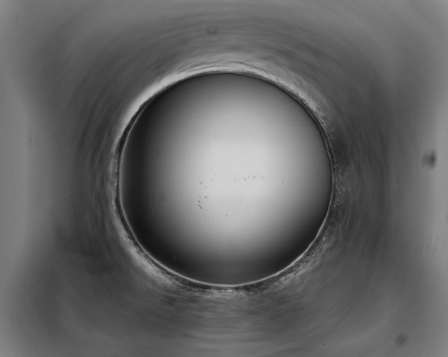 X0000098101526200804041232