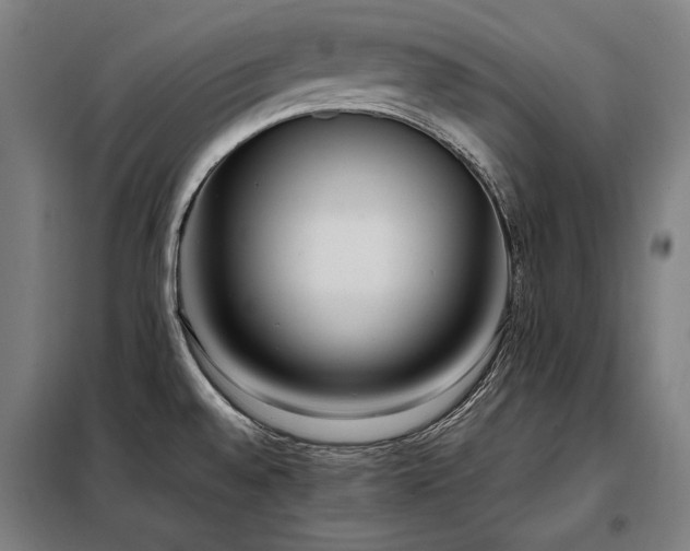 X0000098101528200804041232