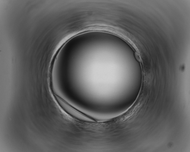 X0000098101533200804041232