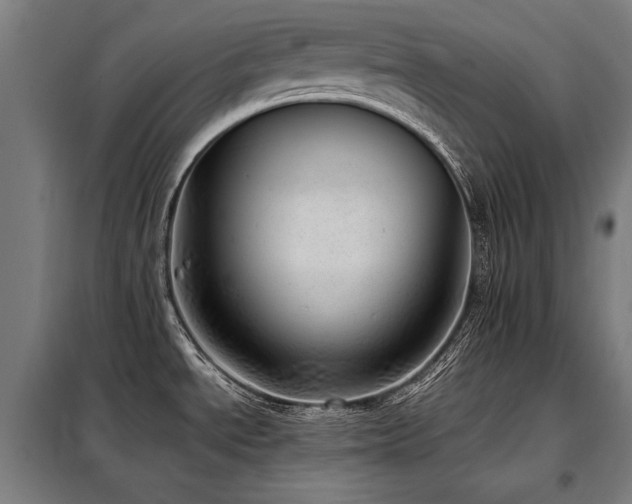 X0000098101534200804041232