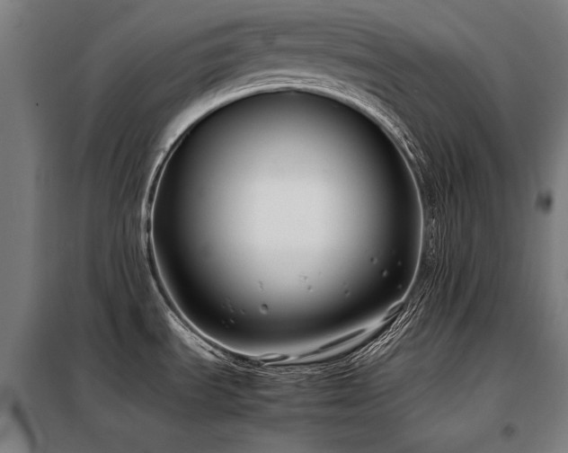 X0000098101535200804041232