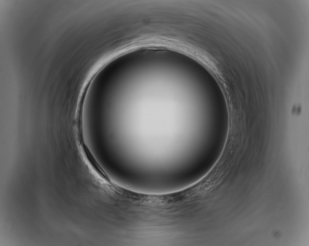 X0000098101536200804041232