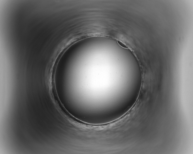 X0000098100002200804111032