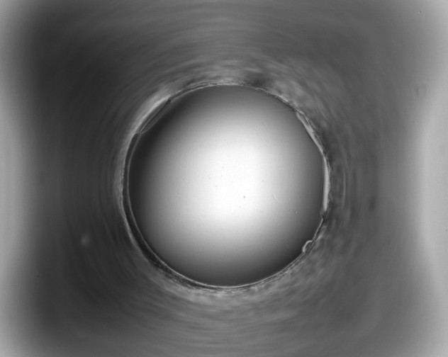 X0000098100003200804111032