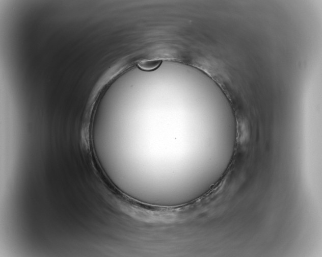 X0000098100004200804111032