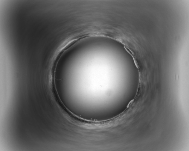 X0000098100005200804111032