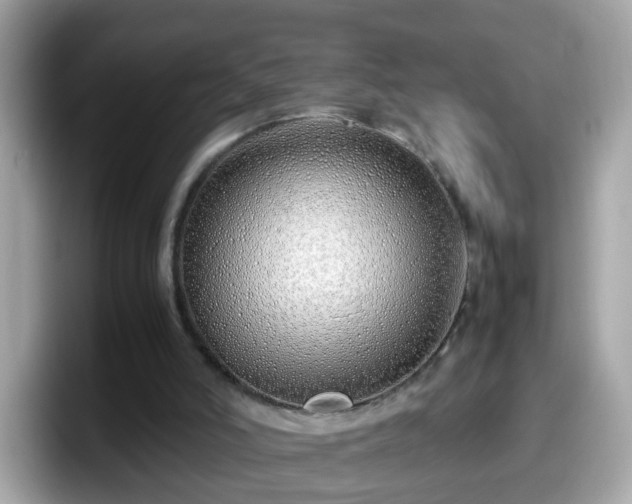 X0000098100006200804111032