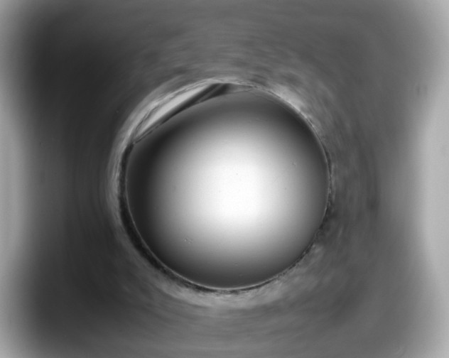 X0000098100007200804111032