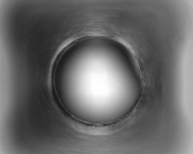 X0000098100008200804111032