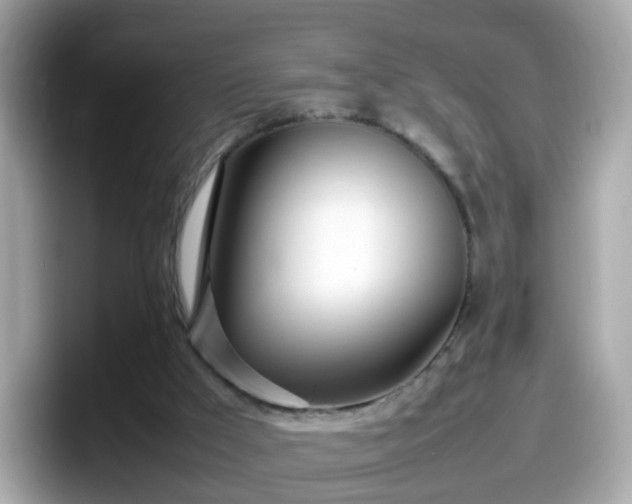 X0000098100009200804111032