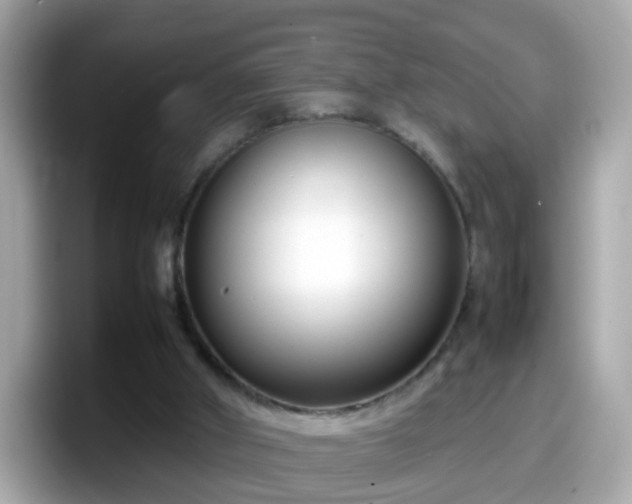 X0000098100010200804111032