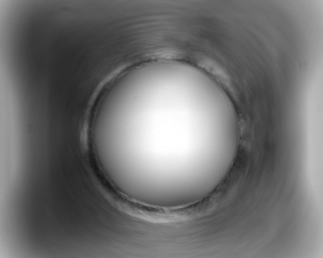 X0000098100012200804111032