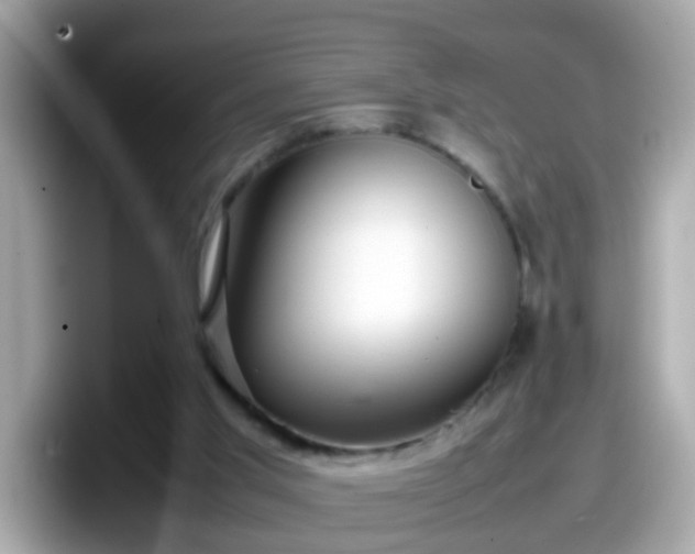 X0000098100013200804111032