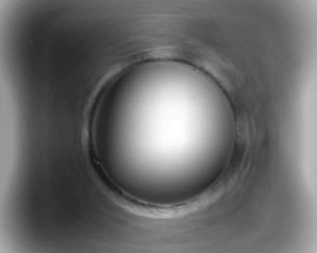 X0000098100015200804111032
