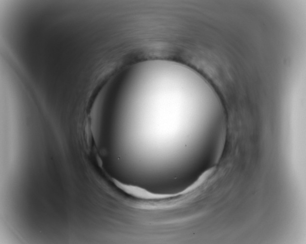X0000098100017200804111032