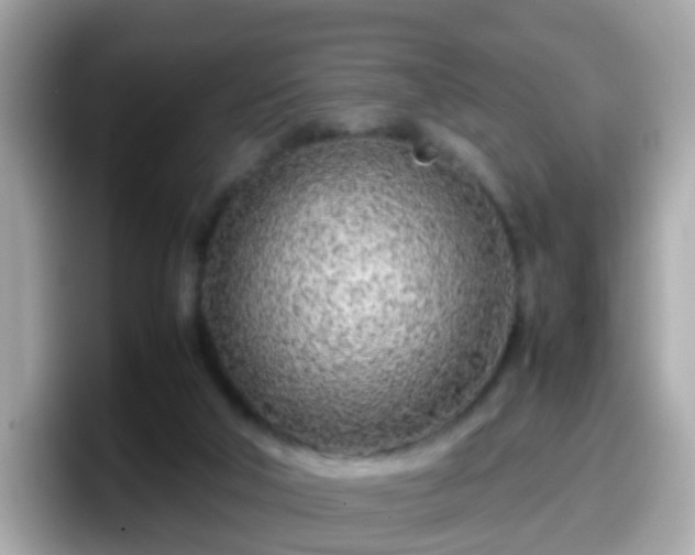 X0000098100018200804111032